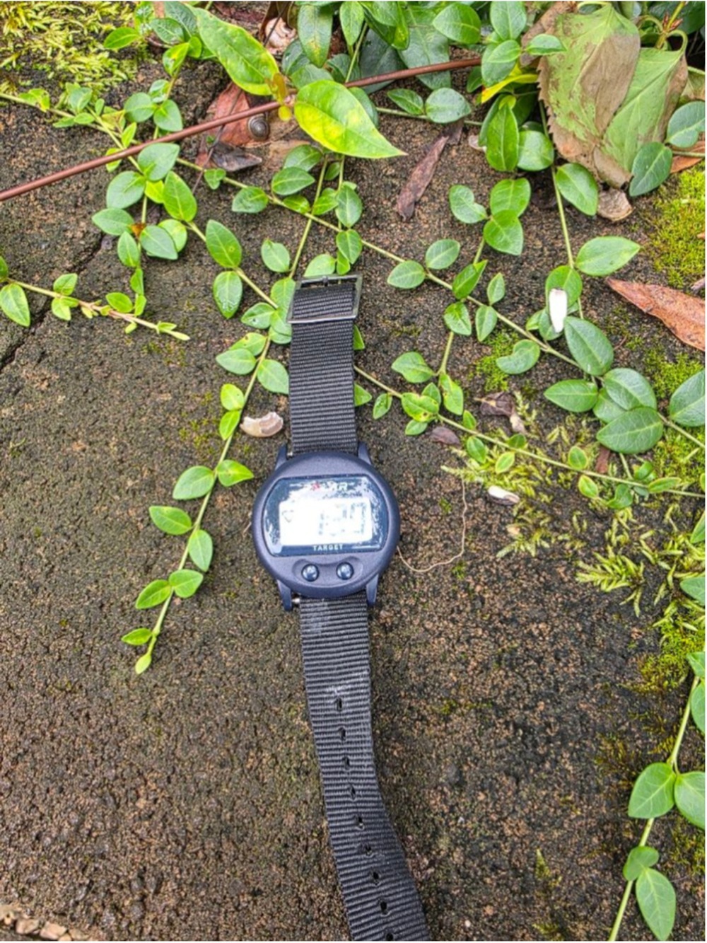 Men's Polar Black Gray Digital Watch One Size